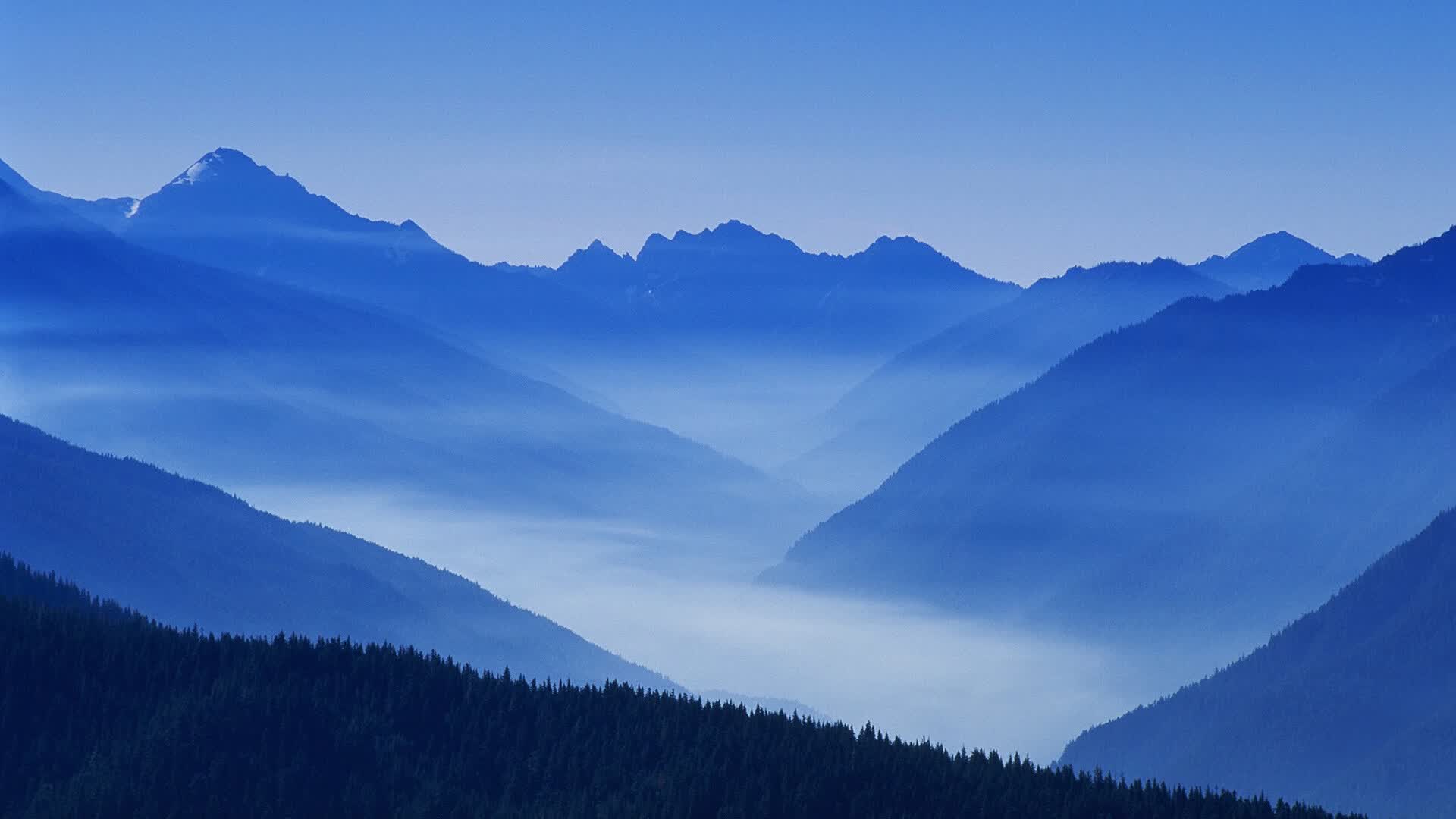 世界短道速滑科研示范场第三批基地揭牌，世界短道速滑锦标赛中国